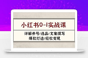 小红书0-1实战课(2023-2025