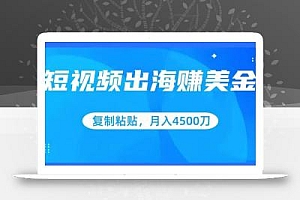 短视频出海赚美金,复制粘贴批量操作,小白轻松掌握,月入4500美刀【揭秘】