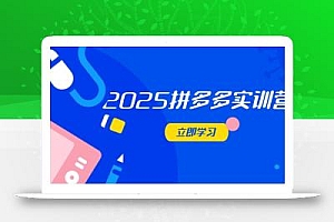 2025拼多多实训营:深度剖析运营关键,助力电商人快速提升