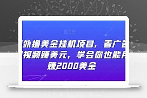 海外撸美金挂机项目,看广告刷视频赚美元,学会你也能月赚2000美金