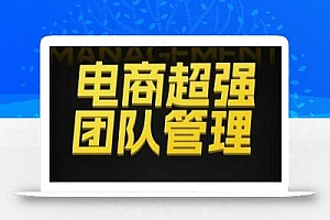 电商超强团队管理,组织绩效,到用人执行,分权合伙