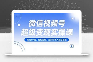 微信视频号超级变现实操课,每天1小时,轻松变现,宝妈职场人副业首选
