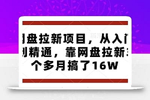 网盘拉新项目,从入门到精通,靠网盘拉新3个多月搞了16W