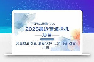 2025最新挂机躺赚项目 一台电脑轻松日入500