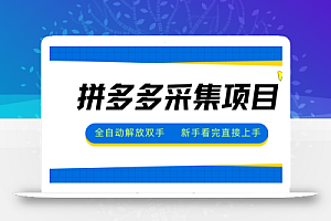 拼多多采集项目,全自动解放双手,单号日入30+