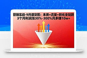 营销实战-9月突围课:本质+流量+转化全链路 3个月利润涨30%-300%月多赚10w+