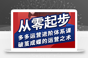 海神·拼多多运营进阶系统课(更新9月)