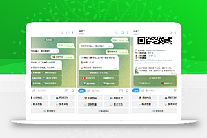 TG个人发卡机器人系统源码 支持双语言 二次开发版本