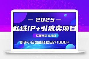 2025网创尽头项目,私域IP+引流,新手小白也能在家日入1000+