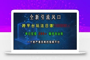 全新引流风口,跨平台玩法日入上k,单日狂揽200+精准创业粉,一个被严重忽略的视频平台
