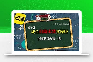 麦子甜咸鱼自助卖货实操版(虚拟资源)一个会自动搞钱的机器