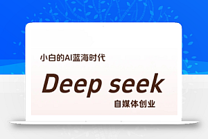 冰冰老师·普通人如何利用Deepseek创业