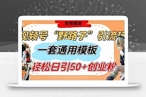 视频号“野路子”玩法,评论区疯狂截流,一套模板单日单号引流50+创业粉