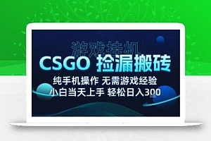 8月最新游戏搬砖,CSGO纯挂G,不需要玩游戏,实现真挂G,月入1W+【揭秘】