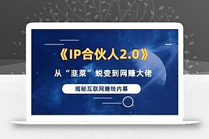 2024如何通过”知识付费“卖项目年入”百万“卖项目合伙人IP孵化训练营