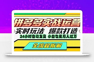 拼多多最新实战运营高投产:长久稳定项目,单店利润一天三位数
