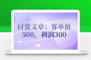 付费文章:客单价500,利润300