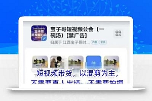 宝子哥头部团队短视频带货,以混剪为主,不需要真人出镜,不需要拍摄【更新8月】
