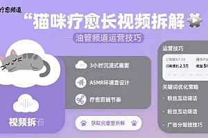 猫咪疗愈长视频拆解 &油管频道运营技巧