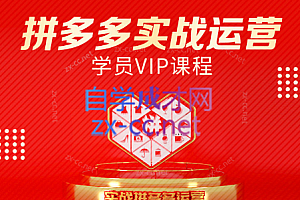 推易电商·拼多多实战运营课(更新2025月)