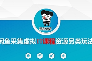 闲鱼采集虚拟IT课程资源另类玩法,干货满满