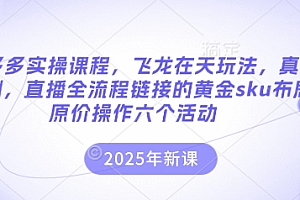 拼多多实操课程,飞龙在天玩法,真实案例,直播全流程链接的黄金sku布局原价操作六个活动