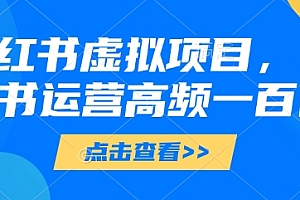 小红书虚拟项目,小红书运营高频一百问【文档】