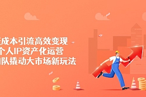 低成本引流高效变现,个人IP资产化运营,小团队撬动大市场新玩法