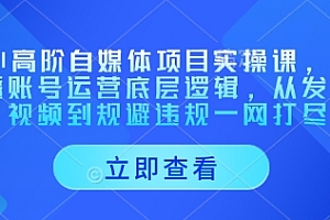 AI高阶自媒体项目实操课,讲透账号运营底层逻辑,从发布视频到规避违规一网打尽