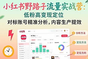 小红书野路子流量实战营:低粉高变现定位 对标账号精准分析 内容生产提效