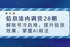 信息流内训营28期,解账号冷启难,提升投放效果,掌握AI用法