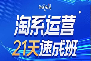 淘系运营21天速成班35期,年前最后一波和2025方向