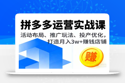 拼多多运营实战课，活动布局、推广玩法、投产优化，打造月入3w+赚钱店铺