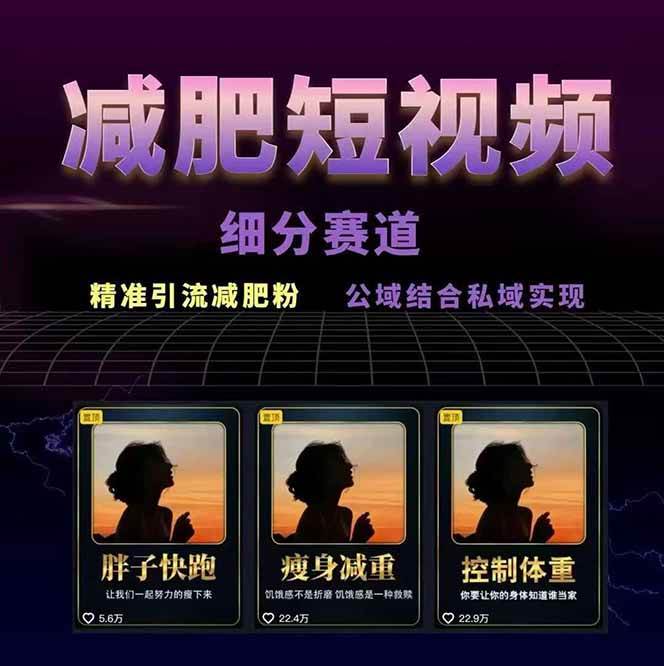 减肥短视频运营实战课:含素材制作、剪映教学,讲精准引流、变现设计与内容模板技巧