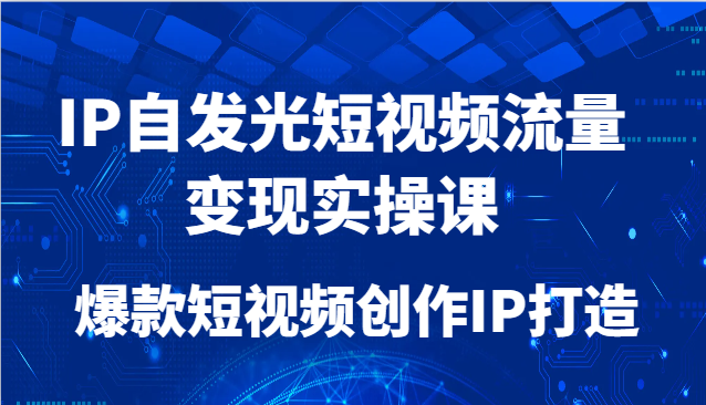 IP自发光短视频流量变现实操课,爆款短视频创作IP打造