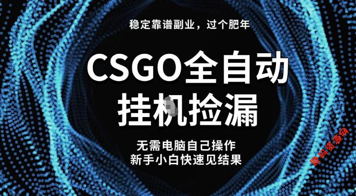 【稳定副业】全球最热门游戏CSGO全自动捡漏,最新玩法,新手小白日入5张+【揭秘】