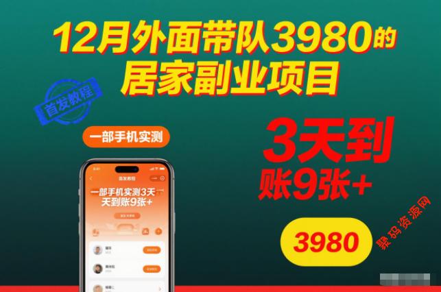 12月外面带队3980的居家副业项目,一部手机实测3天到账9张+,首发教程【揭秘】